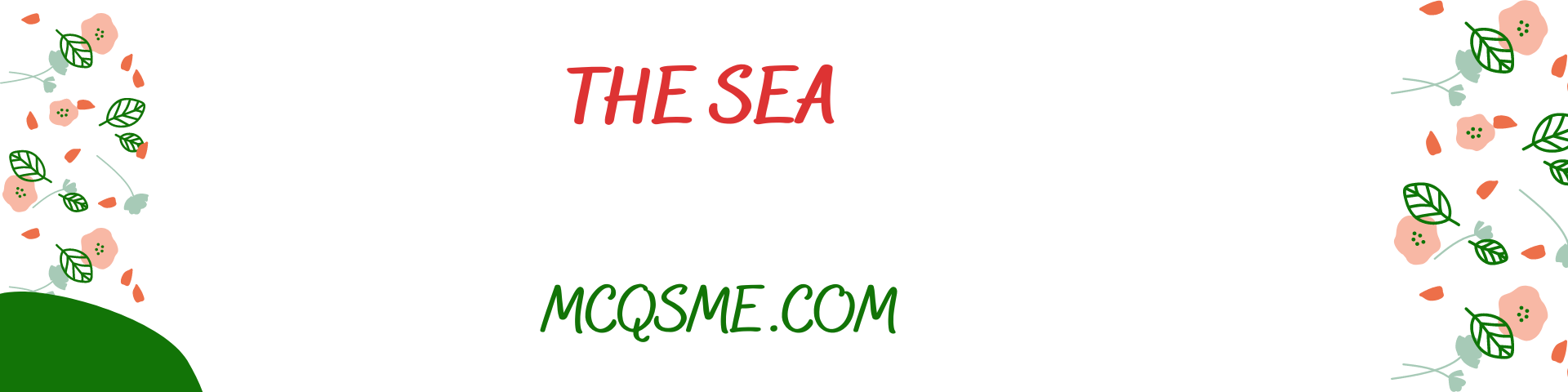 The Sea mcqs